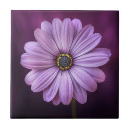 Lila blomma i Bloom Kakelplatta