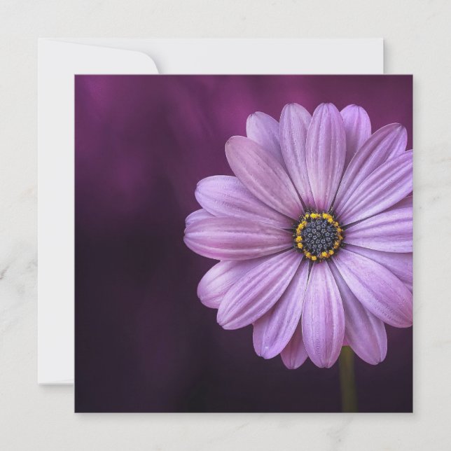 Lila blomma i Bloom Kort (Framsida)