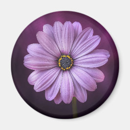 Lila blomma i Bloom Magnet