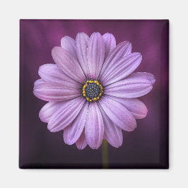 Lila blomma i Bloom Magnet