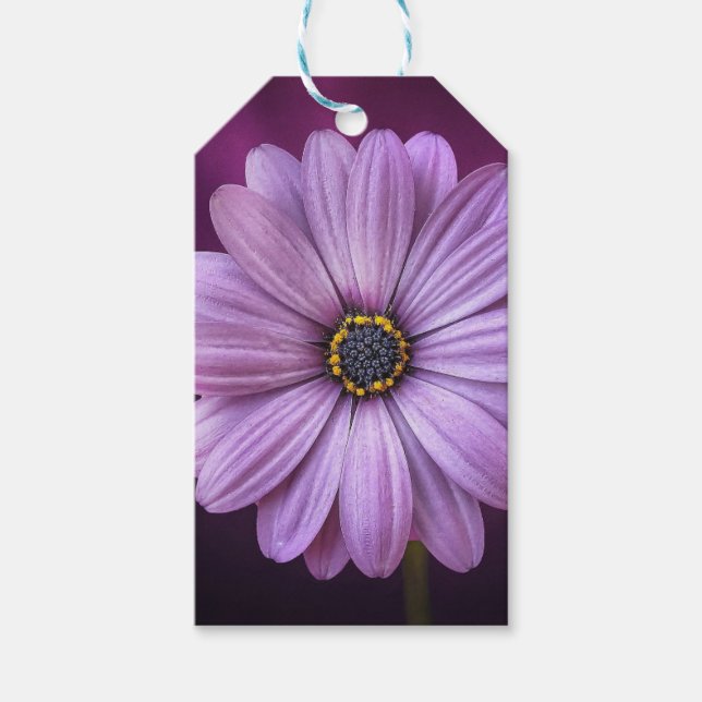 Lila blomma i Bloom Presentetikett (Framsidan)