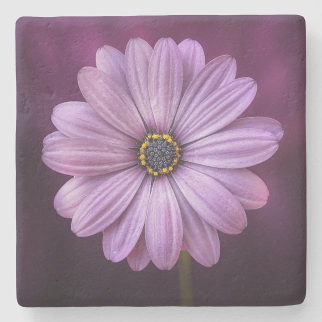 Lila blomma i Bloom Stenunderlägg (Framsidan)