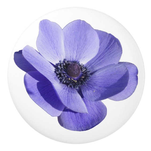 Lila blomma låda skåp knopp drag (Framsidan)