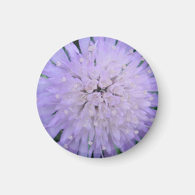 Lila blomma magnet (Framsidan)