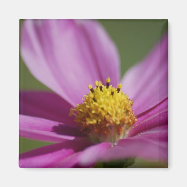 Lila blomma magnet (Framsidan)