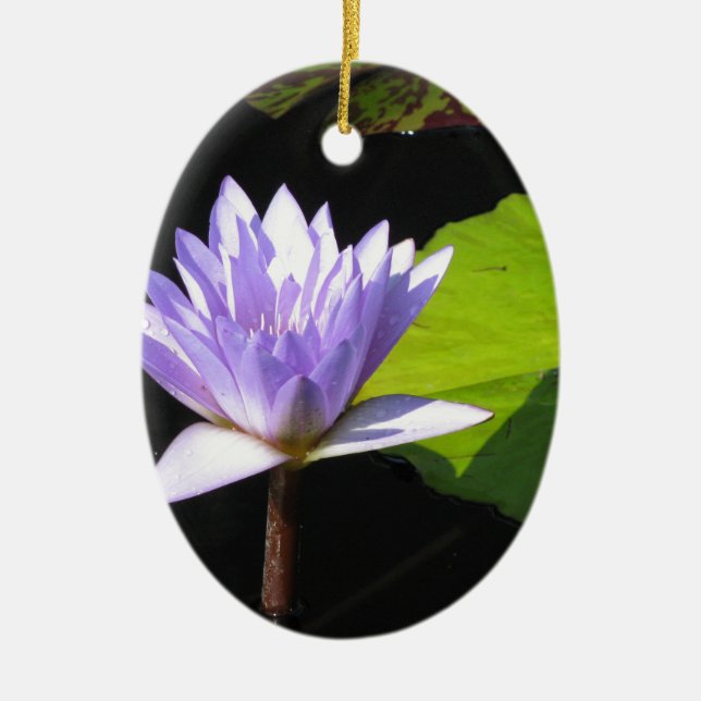 Lila blomma med Lili dynor på Longwood trädgårdar Julgransprydnad Keramik (Framsidan)