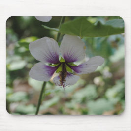 Lila blomma musmatta