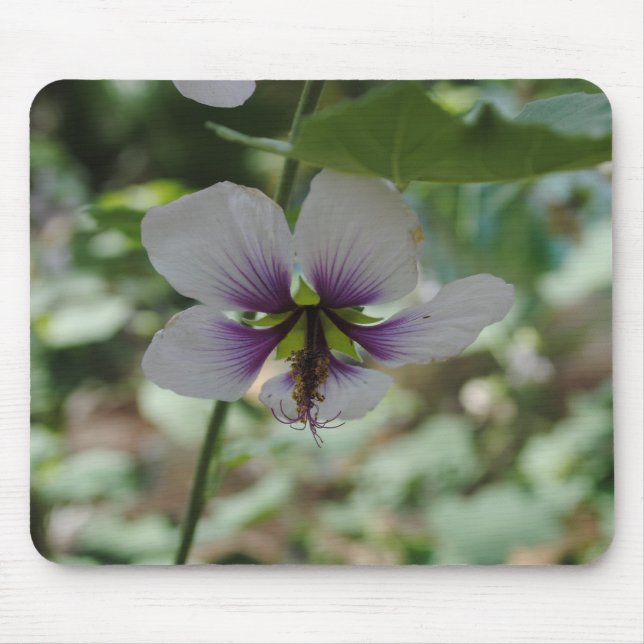 Lila blomma musmatta (Framsidan)