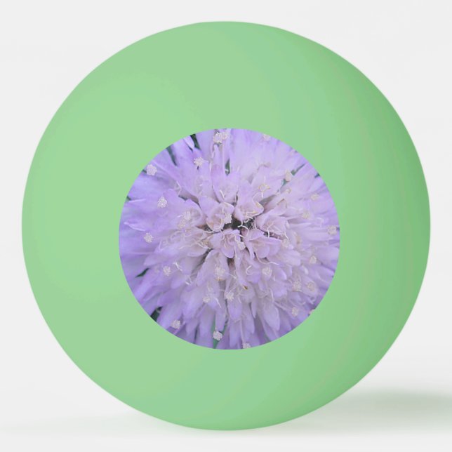 Lila blomma pingisboll (Framsidan)