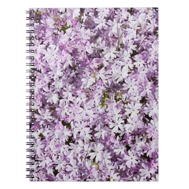 Lila blomma, sommarfriskhetsbakgrund. anteckningsbok (Framsidan)