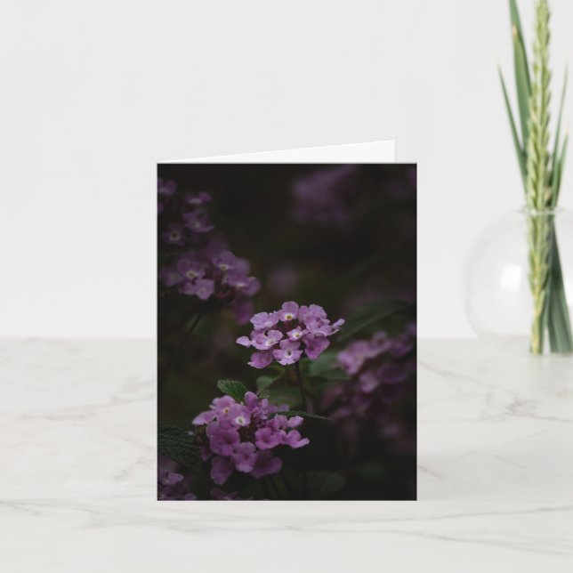 Lila blomma, Sympati Kort (Framsida)