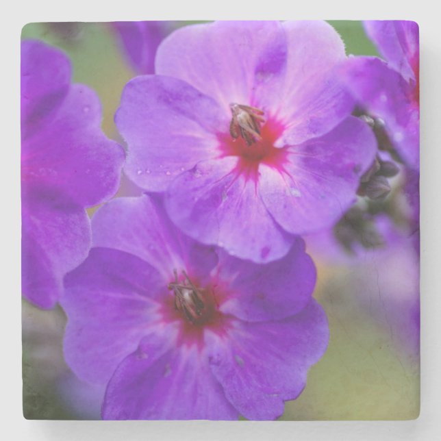 Lila blomma underlägg sten (Framsidan)