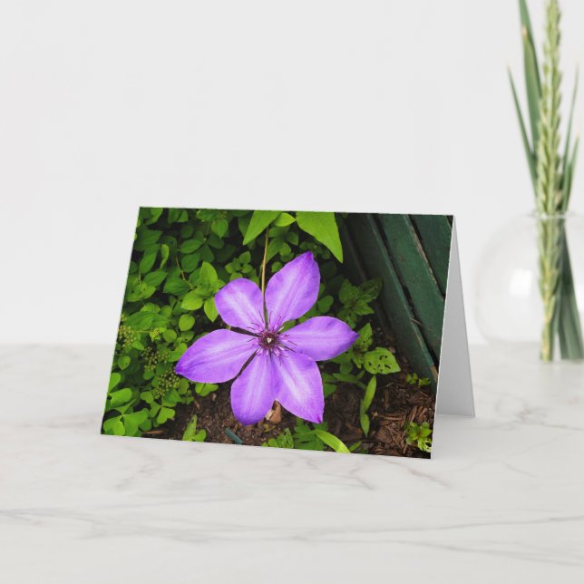 Lila blomma välkomstkort kort (Framsida)