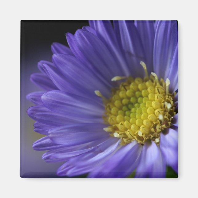 lila blommagnet magnet (Framsidan)