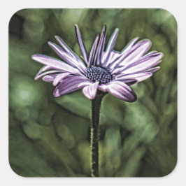 Lila Blommans ständiga Ensam Fyrkantigt Klistermärke