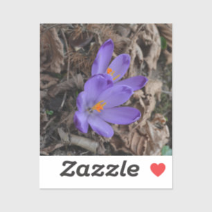 Lila blommar Woodland Crocus Klistermärken