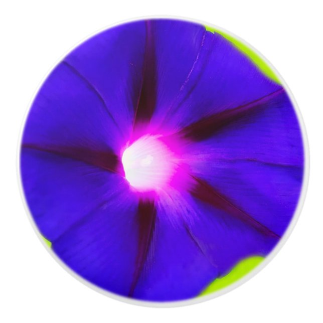 Lila blommiga knoppar (Framsidan)