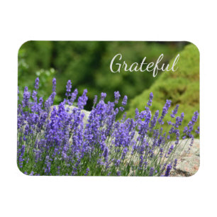 Lila Blommigt Gratitude Magnet
