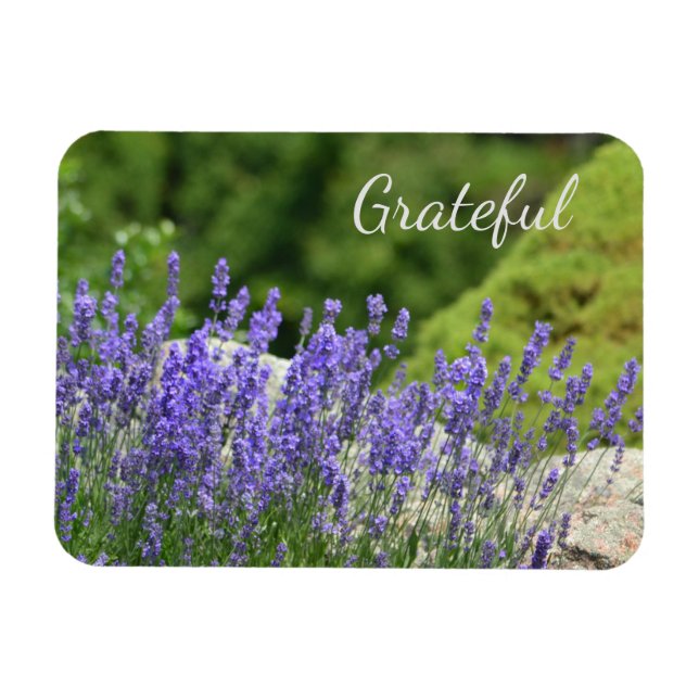 Lila Blommigt Gratitude Magnet (Horisontell)