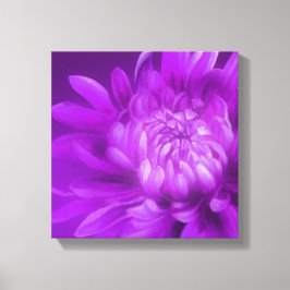Lila blommigt krysanthemum canvas art print