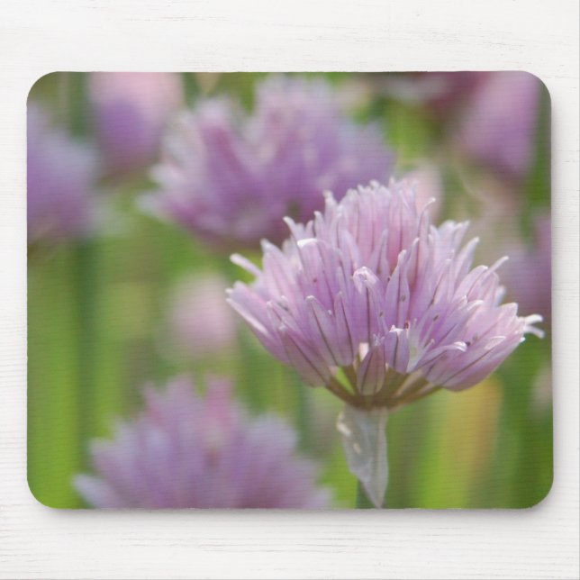 Lila Blommigt Mousepad Musmatta (Framsidan)
