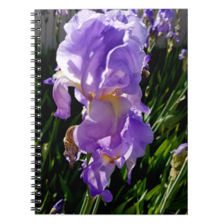 Lila blommor anteckningsbok