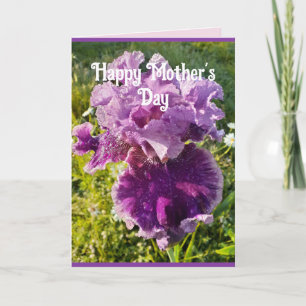 Lila blommor Blommigt Iris Irises Mors dag Card Kort