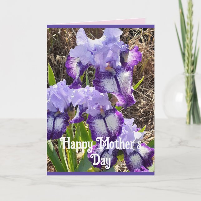 Lila blommor Blommigt Iris Irises Mors dag Card Kort (Framsida)