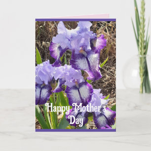 Lila blommor Blommigt Iris Irises Mors dag Card Kort