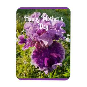 Lila blommor Blommigt Iris Irises Mors dag Card Magnet