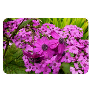 Lila blommor från San Francisco Magnet
