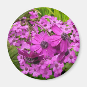 Lila blommor från San Francisco Magnet