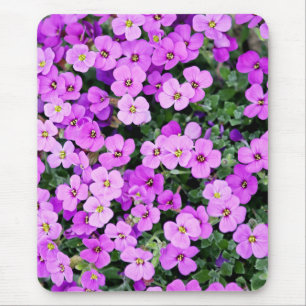 Lila blommor Garden Musmatta
