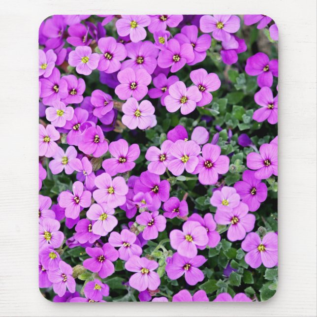Lila blommor Garden Musmatta (Framsidan)