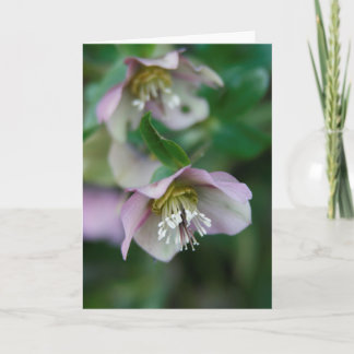 Lila blommor hälsningskort meddelande
