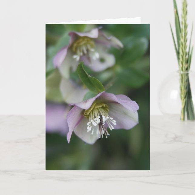 Lila blommor hälsningskort meddelande (Framsida)