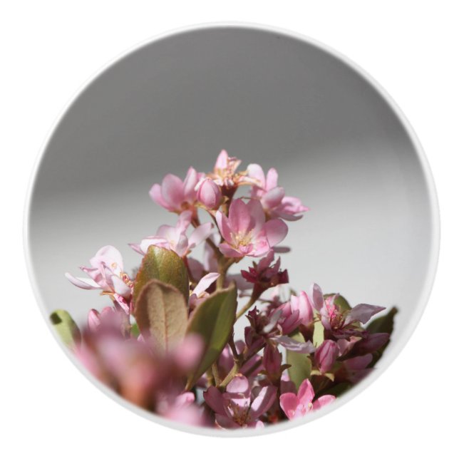 Lila blommor keramisk knopp (Framsidan)