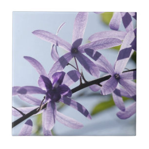 Lila Blommor, keramiskt plattor Kakelplatta