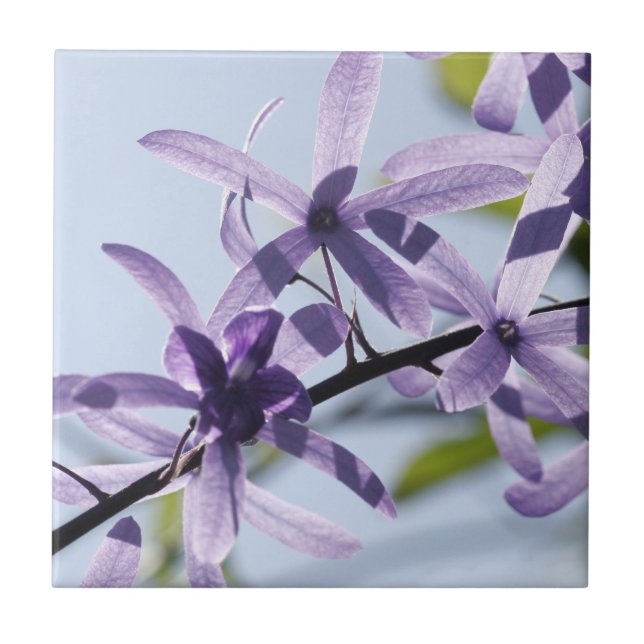 Lila Blommor, keramiskt plattor Kakelplatta (Framsidan)