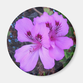 Lila blommor Kitchen Magnet