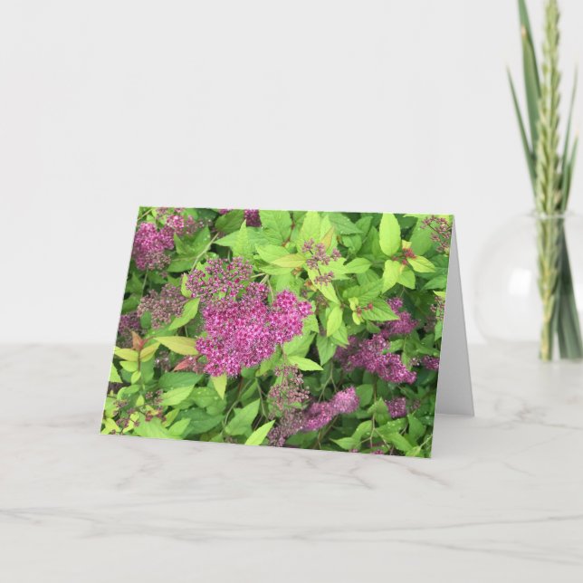 Lila blommor kort (Framsida)