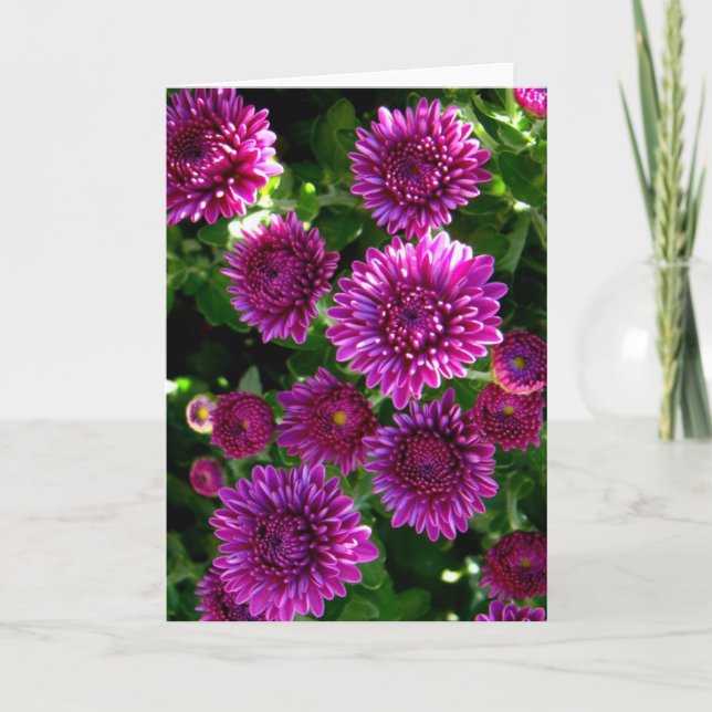 Lila blommor kort (Framsida)