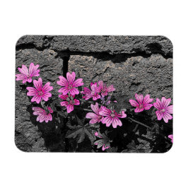 Lila blommor magnet