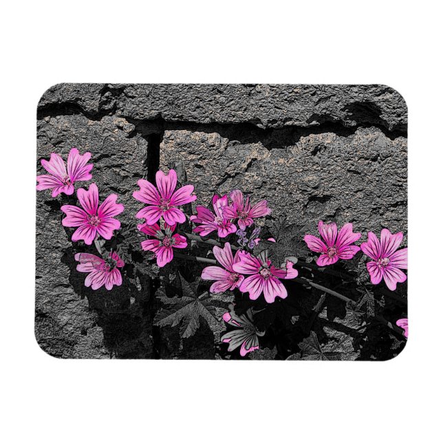 Lila blommor magnet (Horisontell)