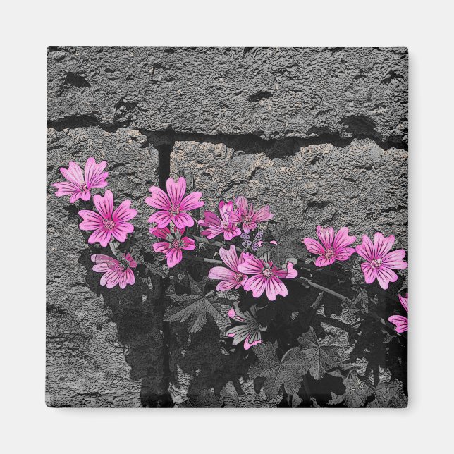 Lila blommor magnet (Framsidan)