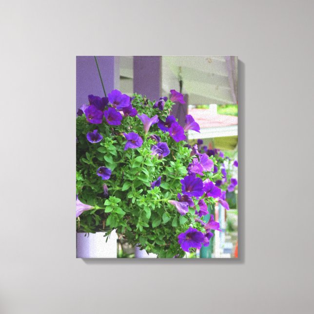 Lila blommor - Martha's Vineyard Canvastryck (Framsida)