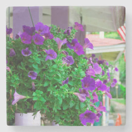 Lila blommor - Martha's Vineyard Stenunderlägg