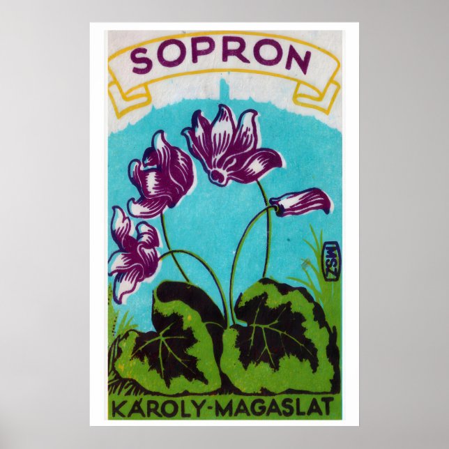 Lila blommor - Matchbox-utskrift - Estetisk vägg Poster (Framsidan)