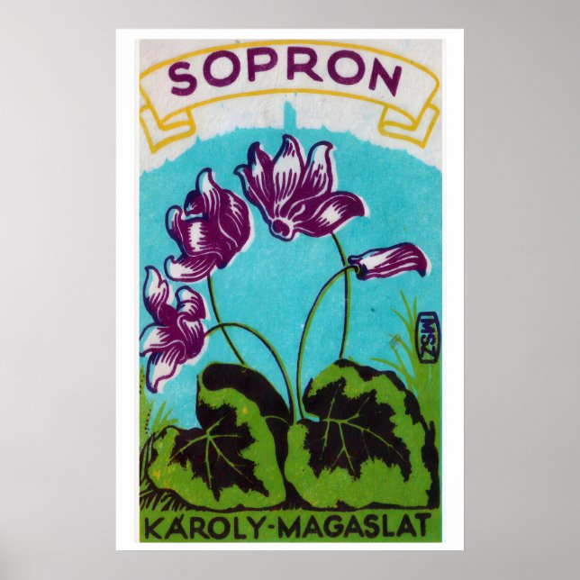 Lila blommor - Matchbox-utskrift - Estetisk vägg Poster (Framsidan)
