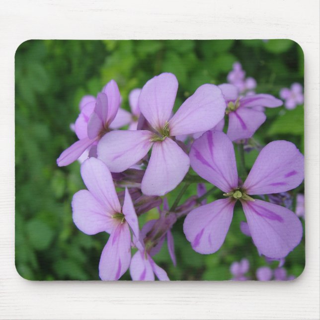 lila blommor musmatta (Framsidan)